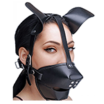 Puppy Play Hood and Breathable Ball Gag