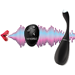 Voice Activated 10X Vibrating Egg with Remote Control Voice Acti