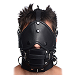 Leather Head Harness with Removeable Gag