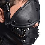 Leather Head Harness with Removeable Gag