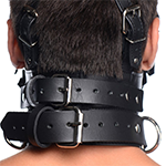 Leather Head Harness with Removeable Gag
