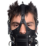 Leather Head Harness with Removeable Gag