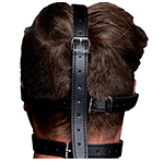 Blindfold Harness and Ball Gag
