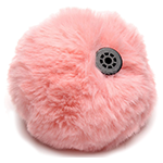Interchangeable Add-On Bunny Tail