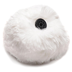 Interchangeable Add-On Bunny Tail