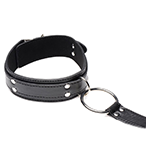 Neck to Wrist Restraints