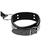 Neck to Wrist Restraints