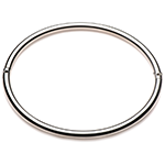 Stainless Steel Locking Collar