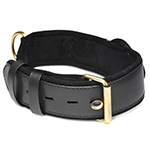 Tracer Tracking Collar