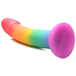 Phallic Rainbow Silicone Dildo